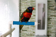 Load image into Gallery viewer, Perchoir repliable pour douche ou fenêtre ACTIVE.PLAY HARI, petit