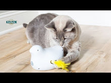 Load and play video in Gallery viewer, Petsafe Jouet Interactif Pour Chat, Peek-a-bird - Plumes En Mouvement