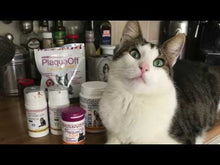 Load and play video in Gallery viewer, Baci+ Buco+ Dental care 150 mg for dogs