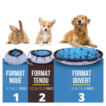 Load image into Gallery viewer, Tapis de fouille réglable pour chiens, jouets puzzle pour chien, tapis d'enrichissement pour animaux de compagnie