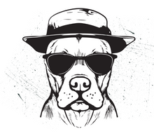 Load image into Gallery viewer, Tasse en céramique-Thème animaux-Chien Chapeau Lunette