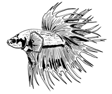 Load image into Gallery viewer, Tasse en céramique-Thème animaux-Betta Crown Tail