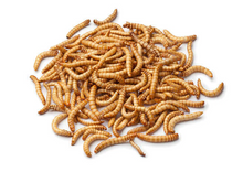 Load image into Gallery viewer, PICARDIE VERS DE FARINE 500GR