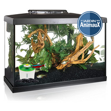 Load image into Gallery viewer, Fish door, FISH DOOR, free fish for small fish.