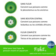 Load image into Gallery viewer, Fish door, FISH DOOR, free fish for small fish.