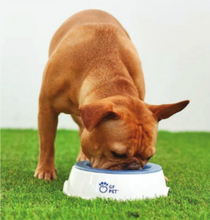 Load image into Gallery viewer, ICE BOWL™ - Refreshing Pet Waterer