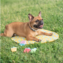 Load image into Gallery viewer, ICE MAT™ - Pet Cooling Mat (L/XL) | yellow