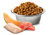 Load image into Gallery viewer, GRAIN FREE FARMINA SALMON, COD, PUMPKIN AND ORANGE FOR SMALL BREED DOG