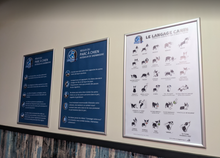 Load image into Gallery viewer, Rendez-vous canins - Spécial St-Valentin