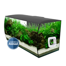 Load image into Gallery viewer, Fish door, FISH DOOR, free fish for small fish.