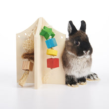 Load image into Gallery viewer, OXBOW Enriched Life - Apple Stick Nerd