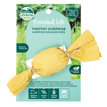 Load image into Gallery viewer, Living World Plastic Hamster Exercise Wheel