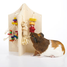 Load image into Gallery viewer, OXBOW Enriched Life - Apple Stick Nerd