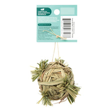 Load image into Gallery viewer, Living World Plastic Hamster Exercise Wheel