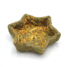 Load image into Gallery viewer, Living World Plastic Hamster Exercise Wheel