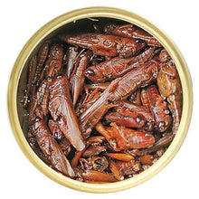 Load image into Gallery viewer, Aliments en conserve Exo Terra, Sauterelles, 34 g (1,2 oz) - Boutique Le Jardin Des Animaux -nourriture reptileBoutique Le Jardin Des AnimauxPT1950
