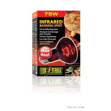 Load image into Gallery viewer, Ampoule à infrarouge Exo Terra pour lézarder, R20, 75 W - Boutique Le Jardin Des Animaux -Eclairage reptileBoutique Le Jardin Des AnimauxPT2142