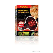 Load image into Gallery viewer, Ampoule à infrarouge Exo Terra pour lézarder, R25, 100 W - Boutique Le Jardin Des Animaux -Eclairage reptileBoutique Le Jardin Des AnimauxPt2144