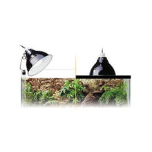 Load image into Gallery viewer, Ampoule à lumière du jour Exo Terra pour lézarder - Boutique Le Jardin Des Animaux -Eclairage reptileBoutique Le Jardin Des AnimauxPT2195