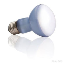 Load image into Gallery viewer, Ampoule à lumière du jour Exo Terra pour lézarder, R20, 50 W - Boutique Le Jardin Des Animaux -Eclairage reptileBoutique Le Jardin Des AnimauxPT2131