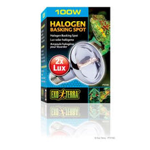 Load image into Gallery viewer, Ampoule halogène Sun Glo Exo Terra à lumière du jour et au néodyme, 100 W - Boutique Le Jardin Des Animaux -Eclairage reptileBoutique Le Jardin Des AnimauxPT2183