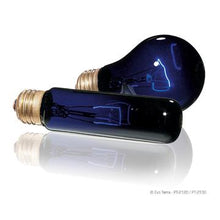 Load image into Gallery viewer, Ampoule incandescente clair de lune Night Glo Exo Terra, T10/25 W - Boutique Le Jardin Des Animaux -Eclairage reptileBoutique Le Jardin Des AnimauxPt2122