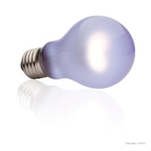 Load image into Gallery viewer, Ampoule infrarouge Exo Terra à lumière du jour, A19, 100 W - Boutique Le Jardin Des Animaux -Eclairage reptileBoutique Le Jardin Des AnimauxPT2111