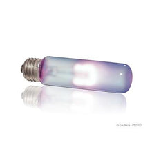Load image into Gallery viewer, Ampoule infrarouge Exo Terra à lumière du jour, T10, 40 W - Boutique Le Jardin Des Animaux -Eclairage reptileBoutique Le Jardin Des AnimauxPT2104