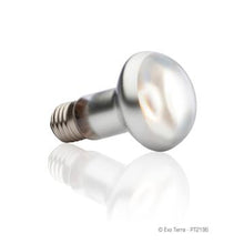 Load image into Gallery viewer, Ampoule intense Exo Terra pour lézarder, 25 W - Boutique Le Jardin Des Animaux -Eclairage reptileBoutique Le Jardin Des AnimauxPT2196