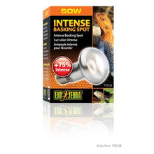 Load image into Gallery viewer, Ampoule Intense Exo Terra pour lézarder, S20, 50 W - Boutique Le Jardin Des Animaux -Eclairage reptileBoutique Le Jardin Des AnimauxPT2135