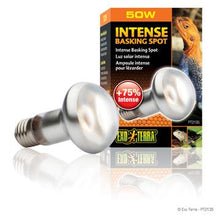 Load image into Gallery viewer, Ampoule Intense Exo Terra pour lézarder, S20, 50 W - Boutique Le Jardin Des Animaux -Eclairage reptileBoutique Le Jardin Des AnimauxPT2135