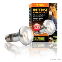 Load image into Gallery viewer, Ampoule Intense Exo Terra pour lézarder, S20, 75 W - Boutique Le Jardin Des Animaux -Eclairage reptileBoutique Le Jardin Des AnimauxPt2136