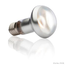 Load image into Gallery viewer, Ampoule Intense Exo Terra pour lézarder, S20, 75 W - Boutique Le Jardin Des Animaux -Eclairage reptileBoutique Le Jardin Des AnimauxPt2136