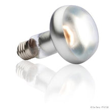Load image into Gallery viewer, Ampoule Intense Exo Terra pour lézarder, S25, 100 W - Boutique Le Jardin Des Animaux -Eclairage reptileBoutique Le Jardin Des AnimauxPt2138