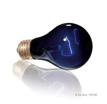 Load image into Gallery viewer, Ampoule nocturne à infrarouge Exo Terra, A19, 75 W - Boutique Le Jardin Des Animaux -Eclairage reptileBoutique Le Jardin Des AnimauxPT2130