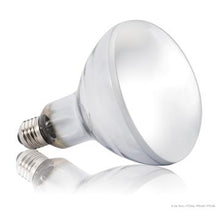 Load image into Gallery viewer, Ampoule Solar Glo Exo Terra simulant la lumière du soleil, 160 W - Boutique Le Jardin Des Animaux -Eclairage reptileBoutique Le Jardin Des AnimauxPT2193