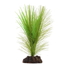 Load image into Gallery viewer, Aqualife plante Myriophylle brésilien vert et Vallisnérie - Boutique Le Jardin Des Animaux -DécorationBoutique Le Jardin Des Animauxpp1630