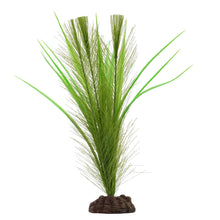 Load image into Gallery viewer, Aqualife plante Myriophylle brésilien vert et Vallisnérie - Boutique Le Jardin Des Animaux -DécorationBoutique Le Jardin Des Animauxpp1632