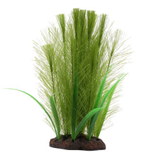 Load image into Gallery viewer, Aqualife plante Myriophylle brésilien vert et Vallisnérie - Boutique Le Jardin Des Animaux -DécorationBoutique Le Jardin Des Animauxpp1640
