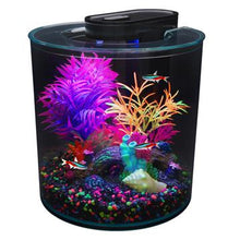 Load image into Gallery viewer, Aquarium équipé 360 iGlo Marina, 10 L (2,65 gal US) - Boutique Le Jardin Des Animaux -AquariumBoutique Le Jardin Des Animaux12849