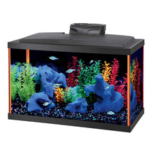 Load image into Gallery viewer, Aquarium équipé Aqueon, NeoGlow LED, 10 gallons, orange - Boutique Le Jardin Des Animaux -AquariumBoutique Le Jardin Des Animaux22676