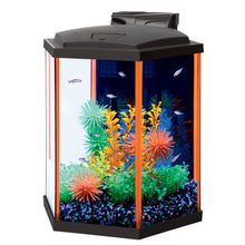Load image into Gallery viewer, Aquarium équipé Aqueon, NeoGlow LED, 8 gallons, orange - Boutique Le Jardin Des Animaux -AquariumBoutique Le Jardin Des Animaux22675