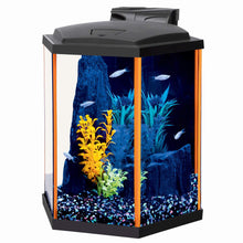 Load image into Gallery viewer, Aquarium équipé Aqueon, NeoGlow LED, 8 gallons, orange - Boutique Le Jardin Des Animaux -AquariumBoutique Le Jardin Des Animaux22675