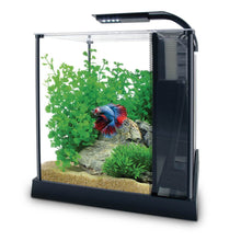 Load image into Gallery viewer, Aquarium équipé Betta haut de gamme, 10 L (2,6 gal US) - Boutique Le Jardin Des Animaux -AquariumBoutique Le Jardin Des Animaux10498