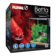 Load image into Gallery viewer, Aquarium équipé Betta haut de gamme, 10 L (2,6 gal US) - Boutique Le Jardin Des Animaux -AquariumBoutique Le Jardin Des Animaux10498