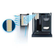 Load image into Gallery viewer, Aquarium équipé Betta haut de gamme, 10 L (2,6 gal US) - Boutique Le Jardin Des Animaux -AquariumBoutique Le Jardin Des Animaux10498