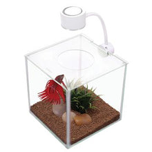 Load image into Gallery viewer, Aquarium équipé Cubus Marina pour betta, 3,4 L (0,9 gal US) - Boutique Le Jardin Des Animaux -AquariumBoutique Le Jardin Des Animaux13485