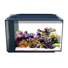 Load image into Gallery viewer, Aquarium équipé EVO Fluval Sea, 52 L (13,5 gal US) - Boutique Le Jardin Des Animaux -AquariumBoutique Le Jardin Des Animaux10531