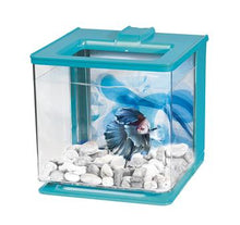 Load image into Gallery viewer, Aquarium équipé EZ Care de 2,5L pour betta - Boutique Le Jardin Des Animaux -AquariumBoutique Le Jardin Des Animaux13359