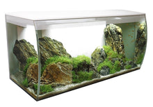 Load image into Gallery viewer, Aquarium équipé FLEX Fluval, blanc, 123 L (32,5 gal US) - Boutique Le Jardin Des Animaux -AquariumBoutique Le Jardin Des Animaux14996